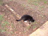 Click to enlarge - Clear 09 004