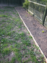 Click to enlarge - Clear 09 002