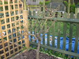 Click to enlarge - Clear 09 004